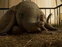 Dumbo movie - Picture 6