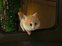 Большой кошачий побег  - Фотография 7