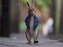 Peter Rabbit 2: The Runaway movie - Picture 12