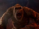 Godzilla pret Kongu filma - Bilde 11
