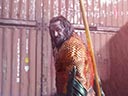 Aquaman and the Lost Kingdom movie - Picture 19