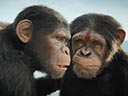 Kingdom of the Planet of the Apes movie - Picture 7