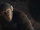 Kingdom of the Planet of the Apes movie - Picture 9