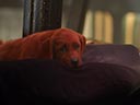 Clifford the Big Red Dog movie - Picture 1