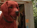 Clifford the Big Red Dog movie - Picture 7