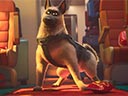 Ķepu ekspresis filma - Bilde 2