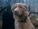 Labs suns filma - Bilde 1