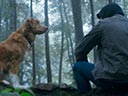Labs suns filma - Bilde 2