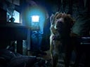 Labs suns filma - Bilde 3