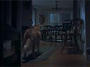 Labs suns filma - Bilde 6