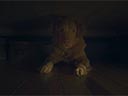 Labs suns filma - Bilde 9