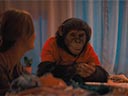 Primāts filma - Bilde 3